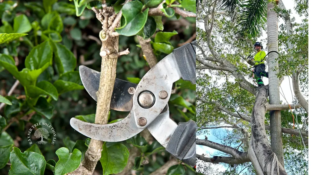 Diseño sin título (58)