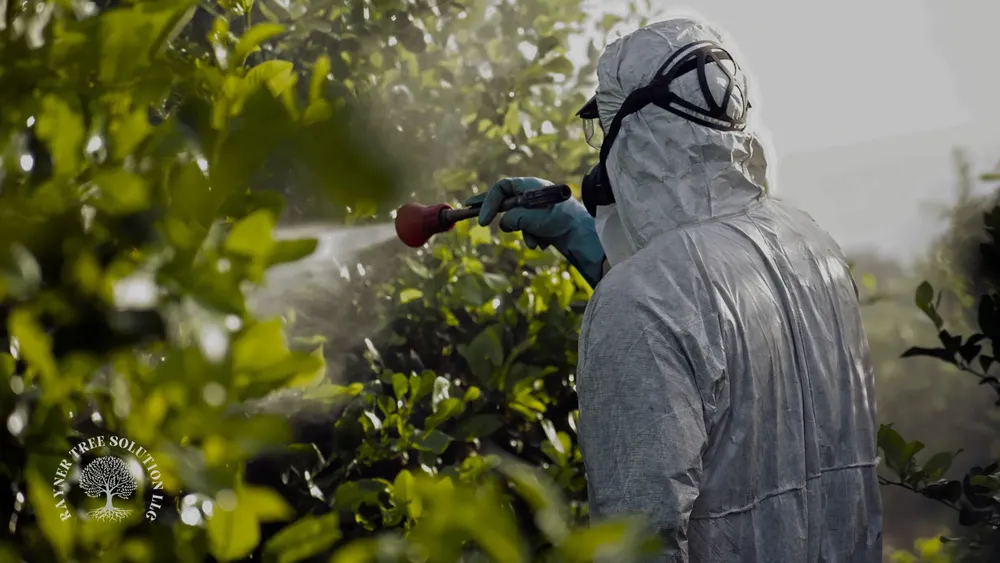 Diseño sin título (60)